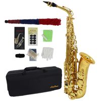Alto Saxophone Gold Lacquer E Flat Jody Blues JAS-801 Beginner Student Sax with Tuner Mouthpiece Reeds Cloth Rod Gloves Pads Case