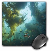 3dRose Copper Rockfish, Giant Kelp, Vancouver Isl, B.C.-CN02 Sws0142 Mouse Pad, 8" x 8" (mp_73301_1)
