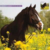Magnet & Steel 2017 Ponies and Horses Calendar, Traditional Wall Calendar