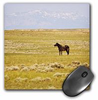 3D Rose"Feral Horses Sagebrush Country WyomingUs51 Ldi0012Larry Ditto" Matte Finish Mouse Pad - 8 x 8" - mp_97457_1