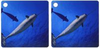 3dRose The Narwhal lives mainly in the High Arctic - Key Chains, 2.25 x 2.25 inches, set of 2 (kc_46392_1)