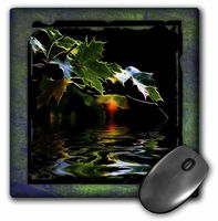 3dRose LLC 8 x 8 x 0.25 Inches Mouse Pad, Factual Leaves (mp_41289_1)