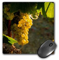 3dRose 1 Durable Mouse Pad (mp_260517_1)