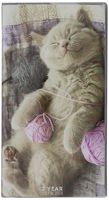 TF Publishing Kittens 2017-2018 2 Year Pocket Calendar (17-7009)