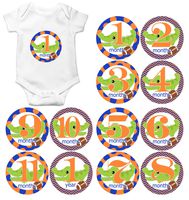 Gift Set of 12 Round Keepsake Photography Monthly Baby Stickers with Florida Gators Football MOSB101