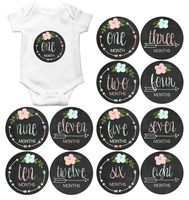 Gift Set of 12 Round Keepsake Photography Monthly Baby Stickers with Tribal Arrows on Chalkboard MOSG165