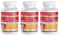 Echinacea purpurea Powder - ECHINACEA and GOLDENSEAL Root - Central Nervous System Booster (3 Bottles)