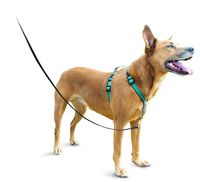 PetSafe 3in1 Harness, from The Makers of The Easy Walk Harness, Fully Adjustable No-Pull Dog Harness