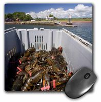 3dRose LLC 8 x 8 x 0.25 Inches Mouse Pad, Prince Edward isl and, Victoria. Lobster Catch, Fishing-Cn09 Dbr0006 - Dave Bartruff (mp_72055_1)
