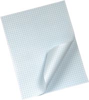 M.E.H. 50 Sheets of Quadrille Ruled 1/4-inch Square Grid Graph Paper