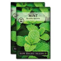 Sow Right Seeds - Mint Seed for Planting - Non-GMO Heirloom Seeds - Instructions to Plant and Grow an Herbal Tea Garden, Indoors or Outdoor; Great Gardening Gift (2)