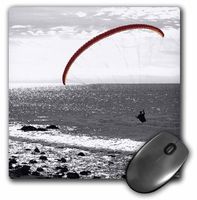 3dRose LLC 8 x 8 x 0.25 Inches Soaring Over The Ocean Mouse Pad (mp_6384_1)