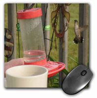 3dRose LLC 8 x 8 x 0.25 Inches Handheld Feeder Mouse Pad (mp_21459_1)