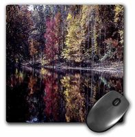 3dRose LLC 8 x 8 x 0.25 Inches Trees with Autumn Colors by The Lake Mouse Pad (mp_55462_1)