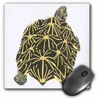 3dRose LLC 8 x 8 x 0.25 Inches Star Tortoise Painting Mouse Pad (mp_15323_1)