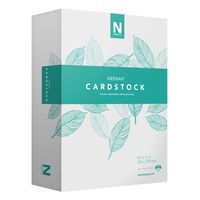 Neenah Cardstock - Lightweight, 67 lb/147 gsm Vellum Bristol, 94 Brightness, 8 ½ x 11, 325 Ct. - MORE SHEETS! (91633)