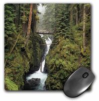 3dRose LLC 8 x 8 x 0.25 Inches Mouse Pad, Olympic Np Sol Duc Falls Bridge Sol Duc River Jamie and Judy Wild (mp_95980_1)