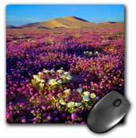 3D Rose"USA California Dumont Dunes. Desert Wildflowers at The Dumont Dunes." Matte Finish Mouse Pad - 8 x 8" - mp_209352_1