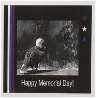 3dRose Memorial Day, Eagle by Waterfall - Greeting Cards, 6 x 6 inches, set of 12 (gc_40482_2)