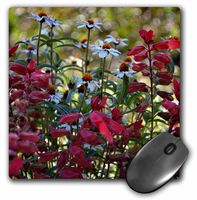 3dRose LLC 8 X 8 X 0.25 Inches A Field of Red and White Flowers Mouse Pad (mp_77160_1)