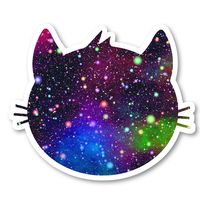 Cat Round Face Sticker Bright Galaxy Stickers - 2 Pack - Laptop Stickers - 2.5" Vinyl Decal - Laptop, Phone, Tablet Vinyl Decal Sticker (2 Pack) S81874