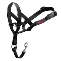 Halti Head Collar, Head Halter Collar for Dogs, Head Collar to Stop Pulling for Medium Dogs