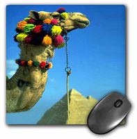 3dRose LLC 8 x 8 x 0.25 Inches Mouse Pad, Camel (mp_648_1)