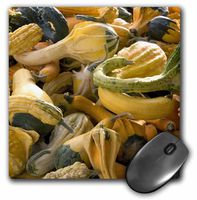 3dRose LLC 8 x 8 x 0.25 Inches Gourds at a Farmers Market in Fruitland Idaho David R Frazier Mouse Pad (mp_90008_1)