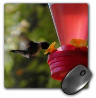 3dRose LLC 8 x 8 x 0.25 Inches Mouse Pad, Hummingbird Feeding (mp_29596_1)