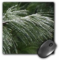 3dRose Pine Bough with Snow Mouse Pad (mp_185396_1)