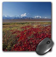 3dRose USA, Alaska, Denali National Park, Mt Mckinley - US02 Hro0686 Mouse Pad, 8" x 8" (mp_141940_1)