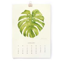 "The Silence of Plants" Art Print - 2020 Wall Calendar - A4 (8.3 x 11.7 inch) - Christmas Gift Featuring Botanical Painting in Watercolor - Green Leaf Two
