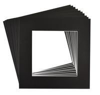 Golden State Art, Pack of 10, 12x12 Black Picture Mats Mattes with White Core Bevel Cut for 8x8 Photo