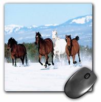 3dRose LLC 8 x 8 x 0.25 Inches Mouse Pad, Beautiful Horses Running in The Snow (mp_55180_1)