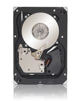 Seagate Cheetah 15K.5 300GB 15000 RPM Ultra320 SCSI 68-Pin LW 16MB Cache 3.5 Inch Internal Bare Drive ST3300655LW