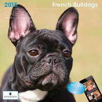 Little Gifts French Bulldog 2015 Calendar (8109)