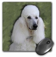 3dRose LLC 8 x 8 x 0.25 Inches Mouse Pad, Standard Poodle (mp_1298_1)