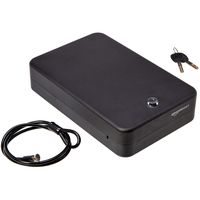 AmazonBasics Portable Security Case Key Lock Box, XXL