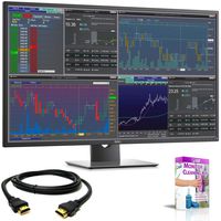 Dell P4317Q 42.5" 16:9 4K IPS Monitor(3840 x 2160 Resolution)