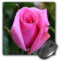 3dRose LLC 8 X 8 X 0.25 Inches Pretty Pink Rose Floral Mouse Pad (mp_25690_1)