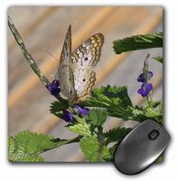 3dRose LLC 8 x 8 x 0.25 Inches Butterfly Pretty Mouse Pad (mp_7922_1)