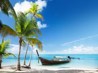 DZJYQ 6.5x5ft(2x1.5m) Blue Sky White Cloud Green Coconut Tree Boat Ocean Beach Sea Holiday Love Backdrop Photography Background Studio 121