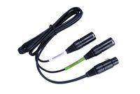 Lewitt 5-pin XLR Audio Cable for DTP-640-REX, 1.5 Meter/5 Foot Length (DTP-40-TRS)