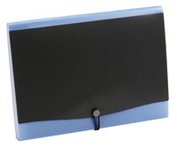 Pendaflex 13 Pocket Professional Expanding File, Letter Size, Assorted (No Color Choice) (82113)