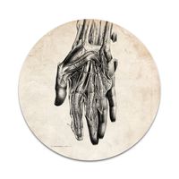 2X Sticker Set - Realistic Anatomical Hand - for Phone Grip Stent Cell Phones Tablets (Stickers Only)
