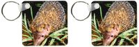 3dRose Madagascar, Ankarana, Greater Hedgehog tenrec wildlife-AF24 POX0057 - Pete Oxford - Key Chains, 2.25 x 4.5 inches, set of 2 (kc_76253_1)