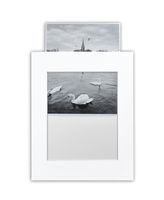 Golden State Art, Pack of 25 White 11x14 Slip-in Pre-Adhesive Photo Mat for 8x10 Picture with Backing Board pre-Assembled, Includes 25 Clear Bags