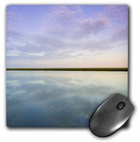 3dRose LLC 8 x 8 x 0.25 Inches Ma Cape Cod National Seashore Salt Pond Bay Walter Bibikow Mouse Pad (mp_91002_1)