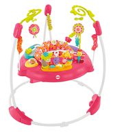 Fisher-Price Jumperoo: Pink Petals