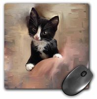3dRose LLC 8 x 8 x 0.25 Inches Mouse Pad, Tuxedo Kitten (mp_153164_1)